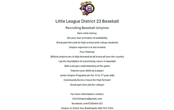 Recruiting Baseball Umpires!